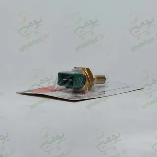 فشنگی آب کله سبز